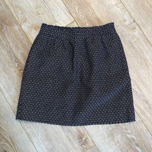 J Crew Skirt 4